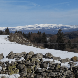 Vue des monts du Cantal enneigés